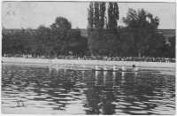 1908 – Regatta Würzburg